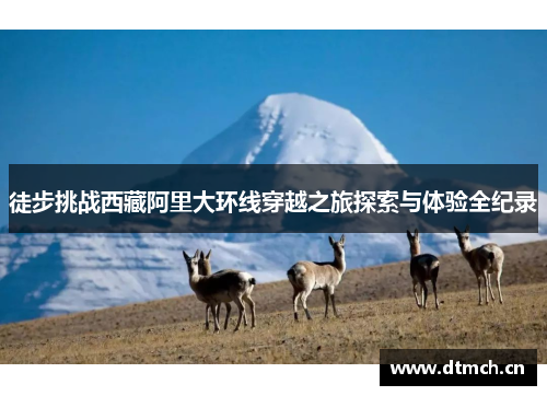 徒步挑战西藏阿里大环线穿越之旅探索与体验全纪录