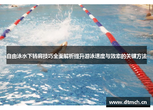 自由泳水下转肩技巧全面解析提升游泳速度与效率的关键方法