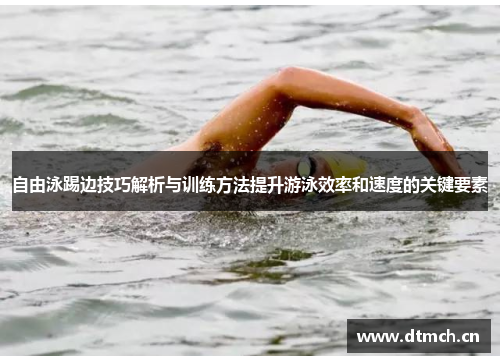 自由泳踢边技巧解析与训练方法提升游泳效率和速度的关键要素